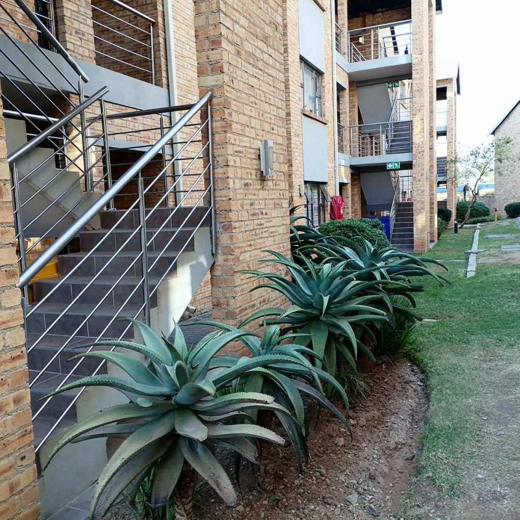 img 20260226 wa0063 copy copy copy