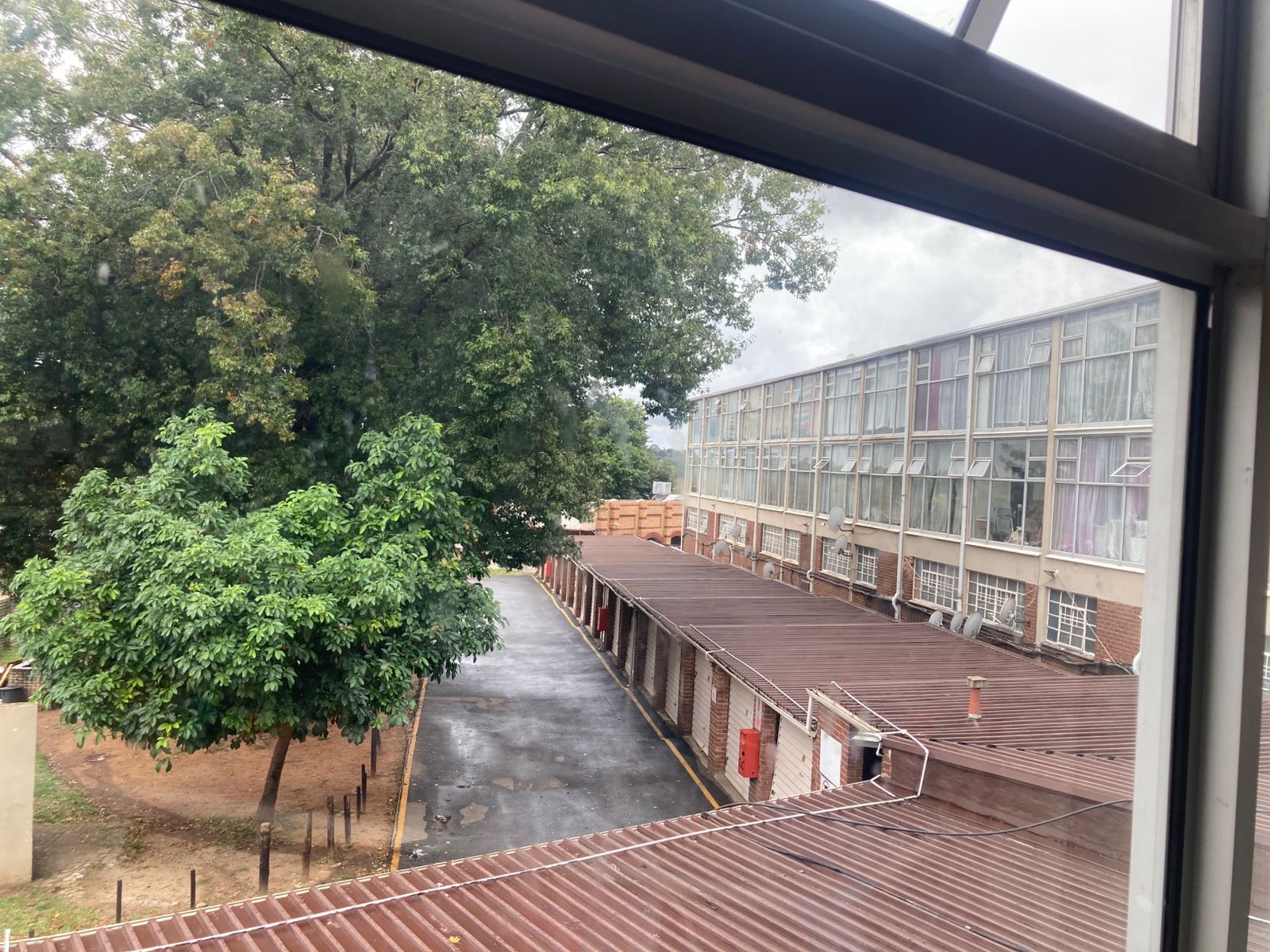 img 20260315 wa0055 copy copy