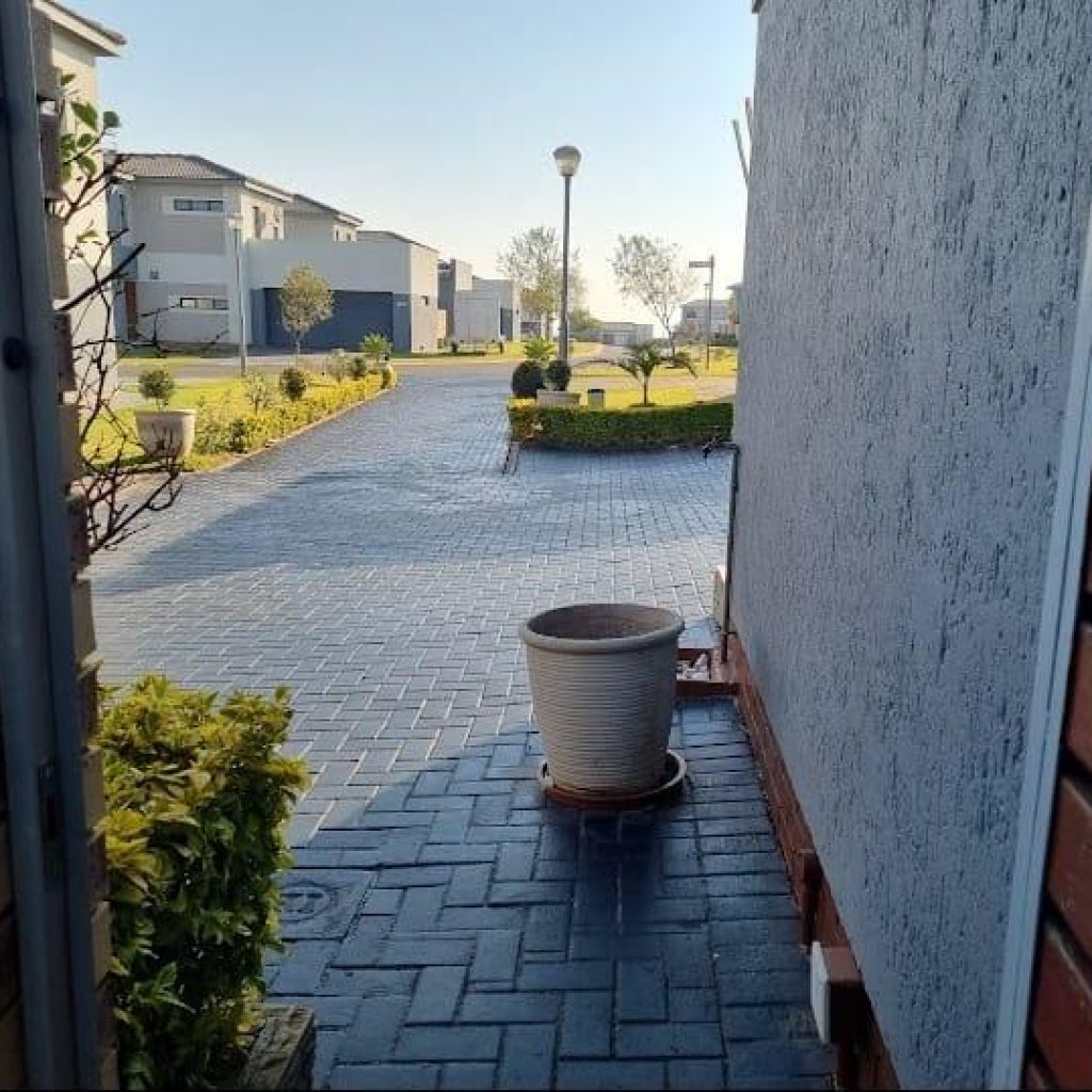 1000311547 copy