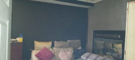 HOUSE WITH RENTAL INCOME POTENTIAL | TEMBISA 1000345066