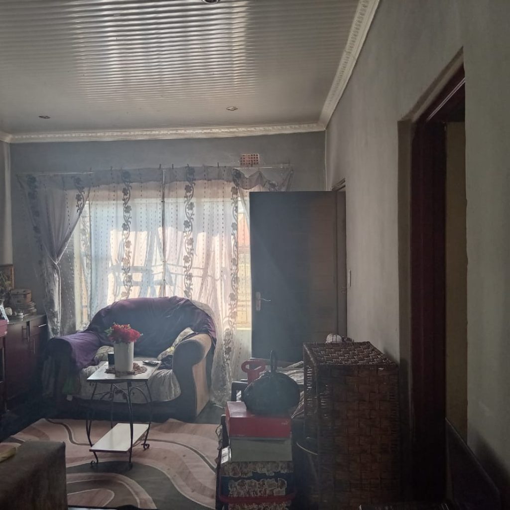 HOUSE WITH RENTAL INCOME POTENTIAL | TEMBISA 1000345068
