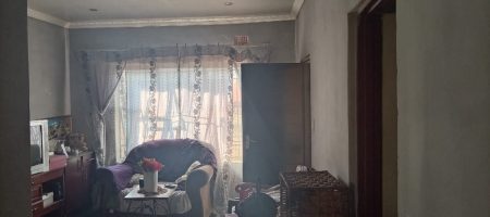 HOUSE WITH RENTAL INCOME POTENTIAL | TEMBISA 1000345068