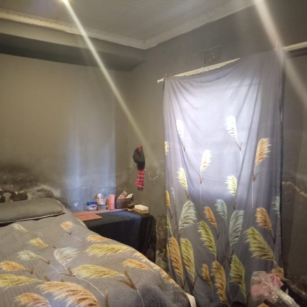 HOUSE WITH RENTAL INCOME POTENTIAL | TEMBISA 1000345085