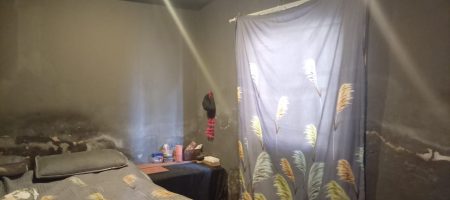 HOUSE WITH RENTAL INCOME POTENTIAL | TEMBISA 1000345085