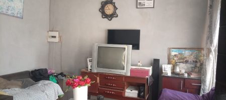HOUSE WITH RENTAL INCOME POTENTIAL | TEMBISA 1000345089