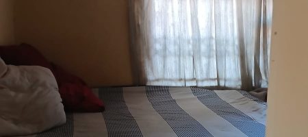 1000377523
