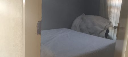 1000377533